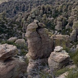 Meet your Posher, Isaac